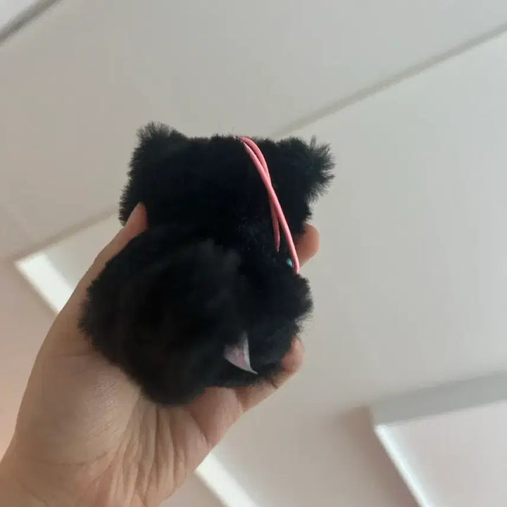 [BUNJANG] Japanese Cat Plush Toy / 일본 고양이 인형