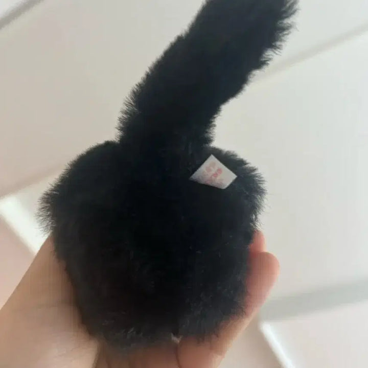 [BUNJANG] Japanese Cat Plush Toy / 일본 고양이 인형