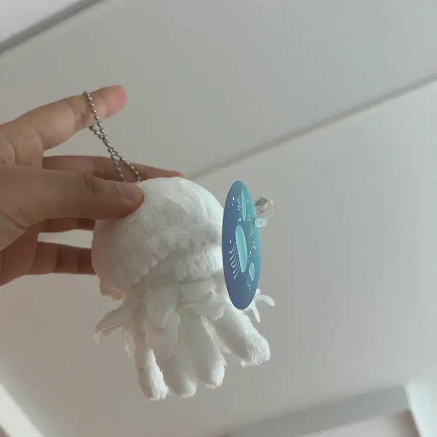 [BUNJANG] Jellyfish Plush Toy / 일본 해파리 인형