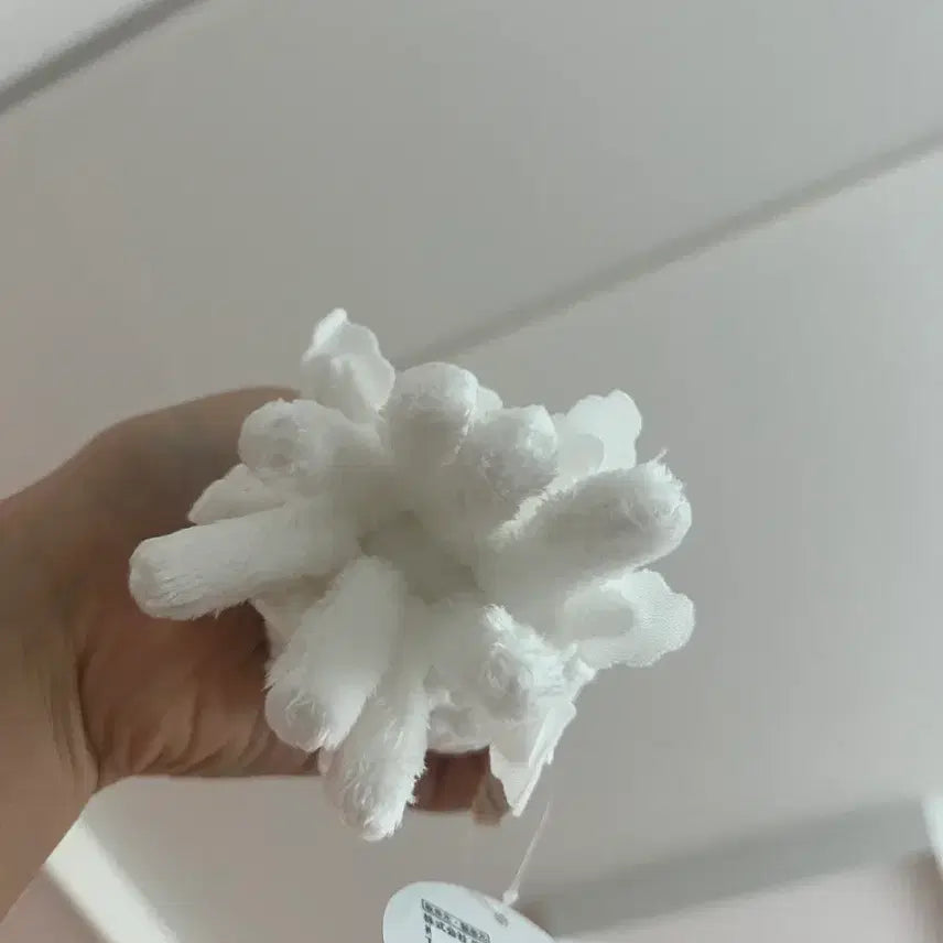 [BUNJANG] Jellyfish Plush Toy / 일본 해파리 인형