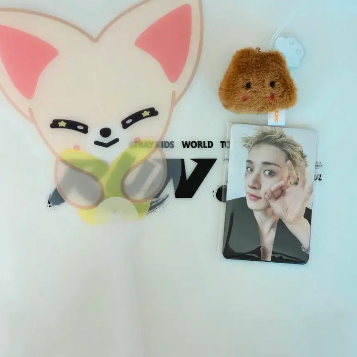 [BUNJANG] Stray Kids Limited Concert STAY Zone Entry Gift Bundle Set Photocard / 스키즈 막막콘 스테이존 8/2 스테이 입장 기프트 8장 포카 일괄