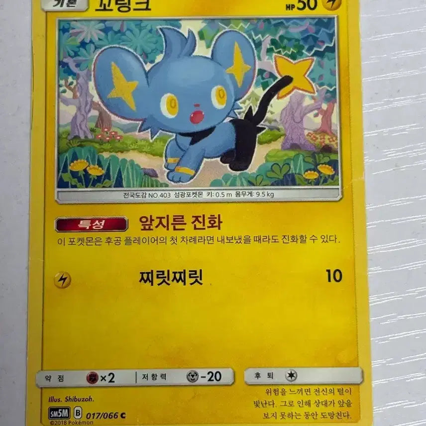 [BUNJANG] Pokemon Card Koruchu 017 / [귀여운 포켓몬카드] 꼬링크 shibuzoh 017
