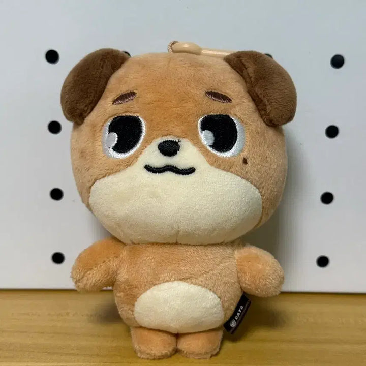 [BUNJANG] Day6 Young K Bundle Set / 데이식스 방,필,돈 인형 일괄 2.2