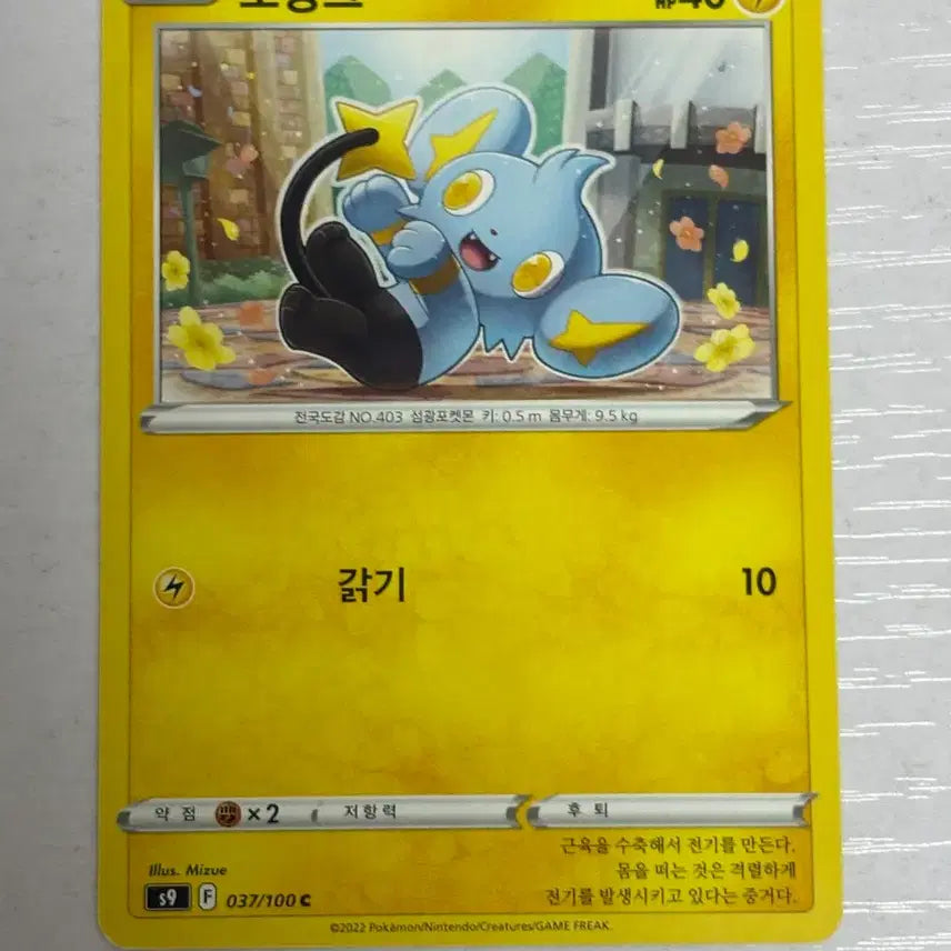 [BUNJANG] Cute Pokemon Card Lucario 037 / [귀여운 포켓몬카드] 꼬링크 037