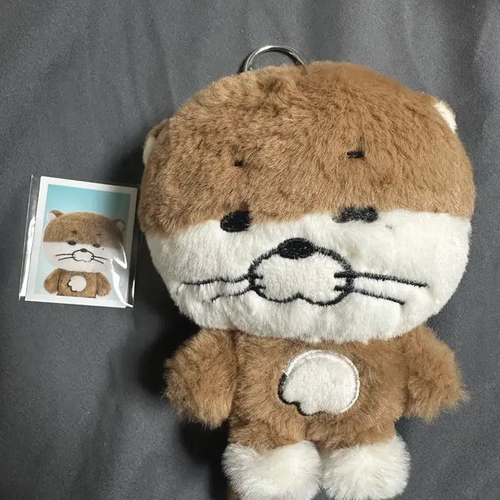 [BUNJANG] Bbunegdo Pop-up Plush Keyring &