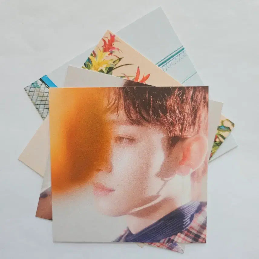 [BUNJANG] EXO Chen (Kim Jong Dae) Photocard &amp; Postcard Goods Collection / 엑소 첸(김종대) 포카 엽서 굿즈 모음