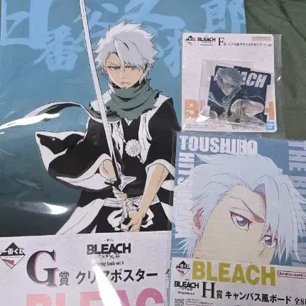 [BUNJANG] Toshiro Hitsugaya FGH Set / 히츠가야 토시로 F G H 상 세트