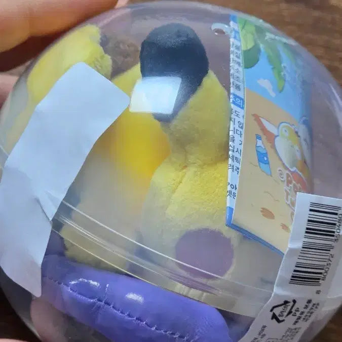 [BUNJANG] Pokemon Relaxing Vacation Tube Mascot Keyring / 포켓몬 부산 팝업 느긋느긋 바캉스 튜브 마스코트 키링 현물 양도