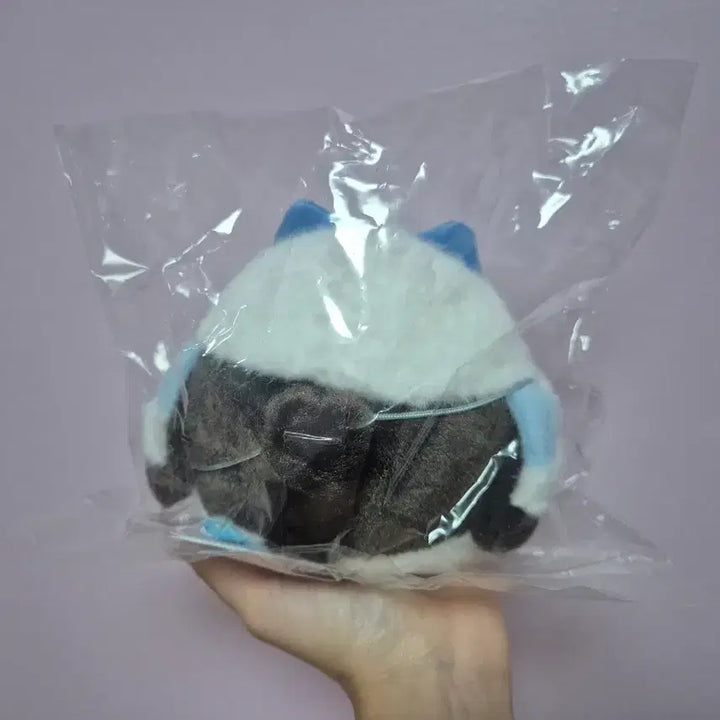 [BUNJANG] Chiikawa Mogumoguhonpo Limited Baby Bird Hachiware Plush / 치이카와 모구모구혼포 한정 뱁새 하치와레 먼작귀 인형
