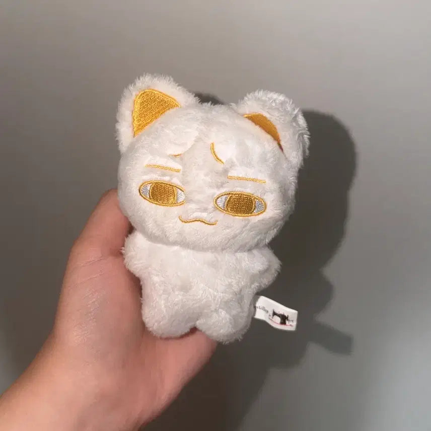 [BUNJANG] P1Harmony Theo Cat Plush / 피원하모니 테오 인형 태삼냥 양도