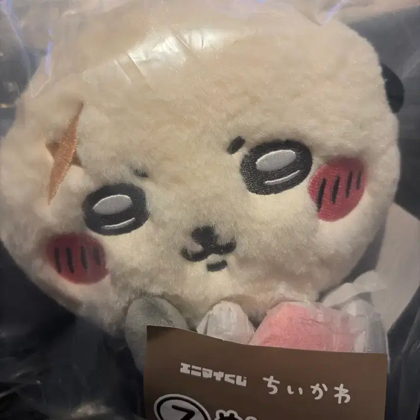 [BUNJANG] Chiikawa Summer Lottery Racco Plush / 치이카와 여름 쿠지 랏코인형