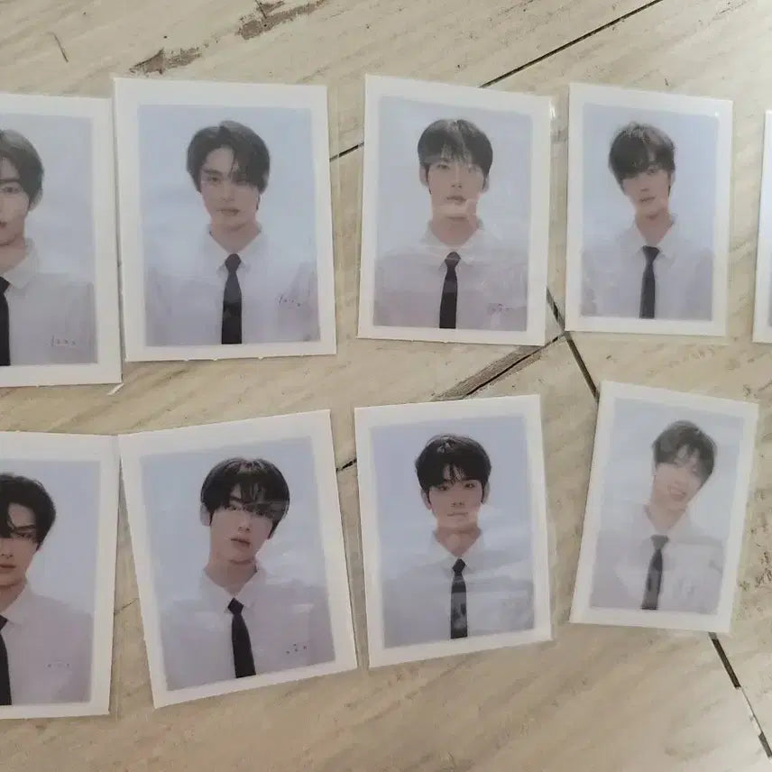 [BUNJANG] ZEROBASEONE Dibong Seal Set / 제로베이스원 띠부씰