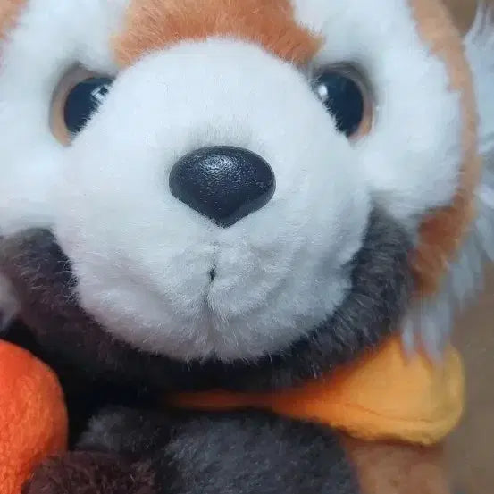 [BUNJANG] Red Panda Halloween Pumpkin Plush Toy / 할로윈데이 호박 펌킨  레서판다 인형  털인형 주황색