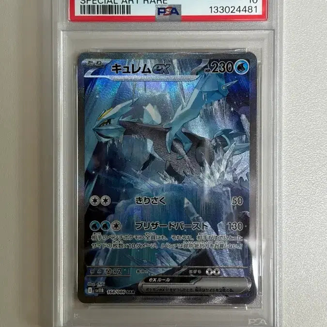[BUNJANG] Japanese Kyurem SAR PSA 10 Graded Card / 일판 큐레무 sar psa 10