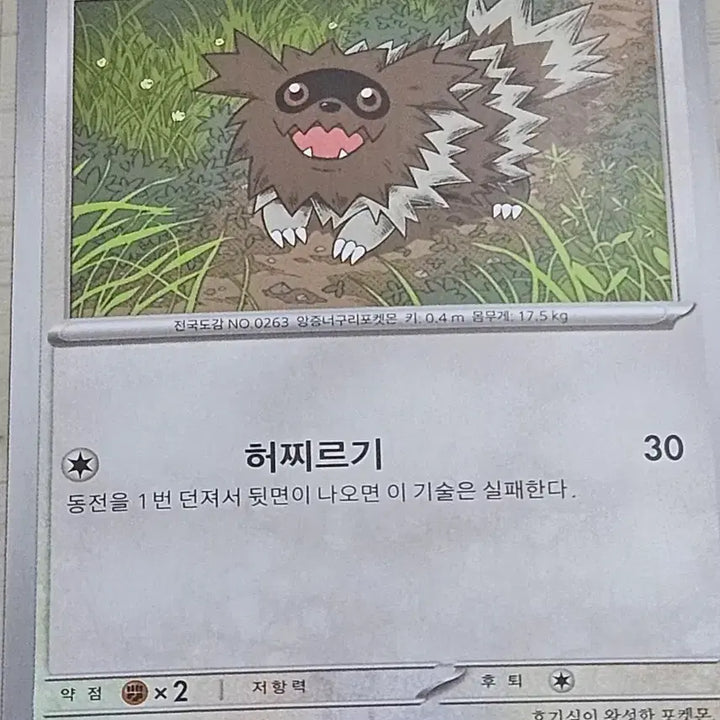 [BUNJANG] Pokemon Card Zigzagoon 069/080 C / 포켓몬카드 지그제구리 069/080 C