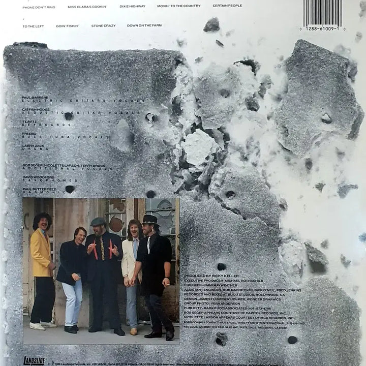 [BUNJANG] The Bluesbusters Accept No Substitute LP / LP ㅡ THE BLUESBUSTERS  / 수입명반