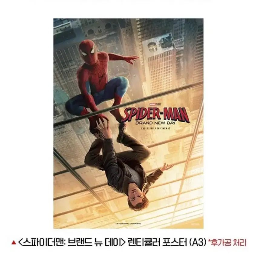 [BUNJANG] Spider-Man Lenticular Poster + Pin Badge Set / 스파이더맨 렌티큘러 포스터+핀뱃지
