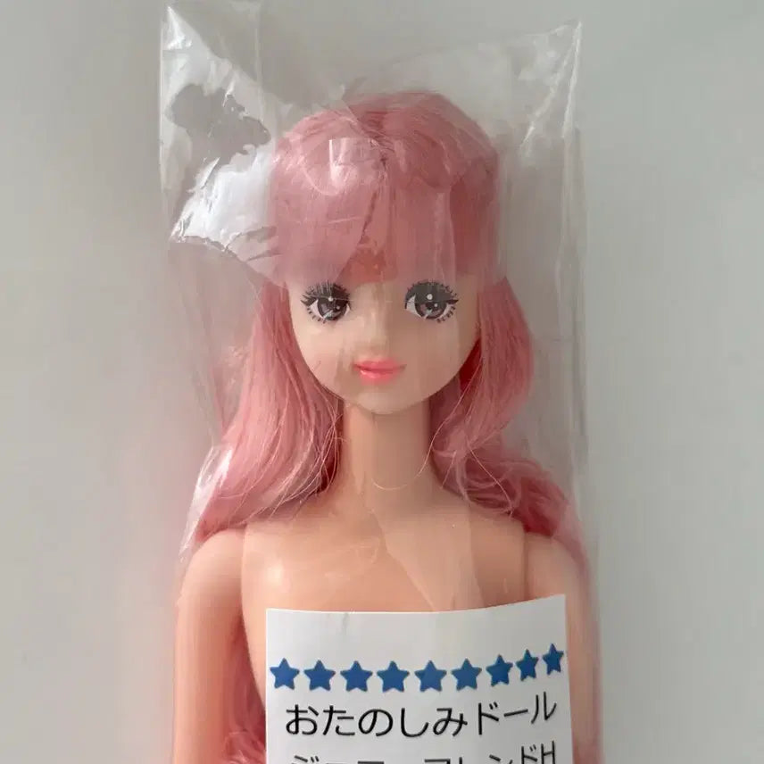 [BUNJANG] Ricca Castle Nanako (Genie Friend H) Doll / 리카캐슬 나나코(제니프렌드H)