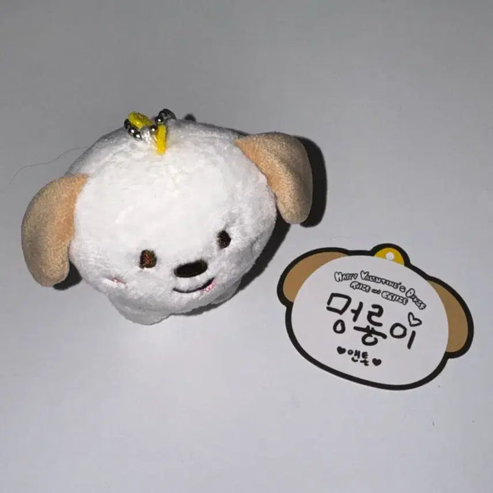 [BUNJANG] Merongie Figure / 1기 멍룡이 양도