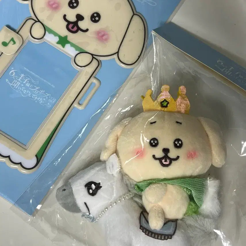 [BUNJANG] NCT WISH Jaehee Doggyriever Keychain Photocard Holder Bundle Set / (바로배송) 댕트리버 일본 팬미 백마 키링 포카홀더 일괄