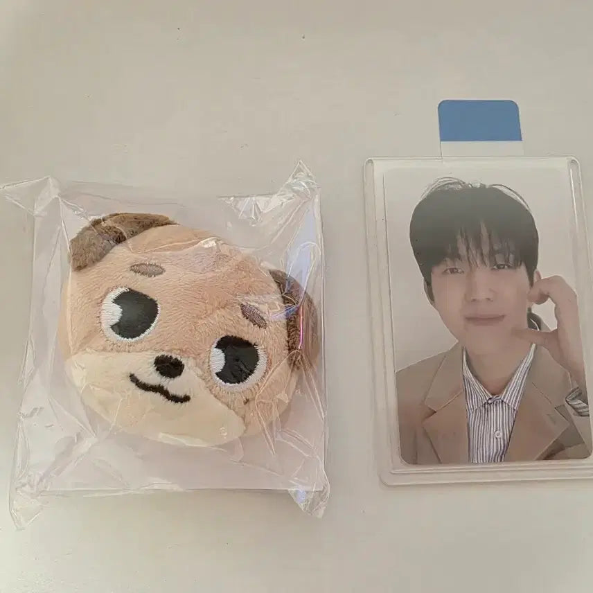 [BUNJANG] DAY6 Young K (Dowoon) Denimals Doni Hairpin + Japan Photocard / 데이식스 도운 데니멀즈 돈 돈이 헤어핀 + 일본 포카