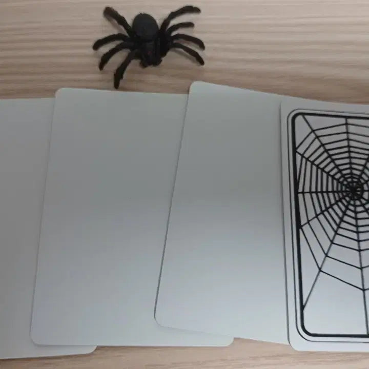 [BUNJANG] Magic Card Deck Bundle / 마술카드, 케이스, 도구