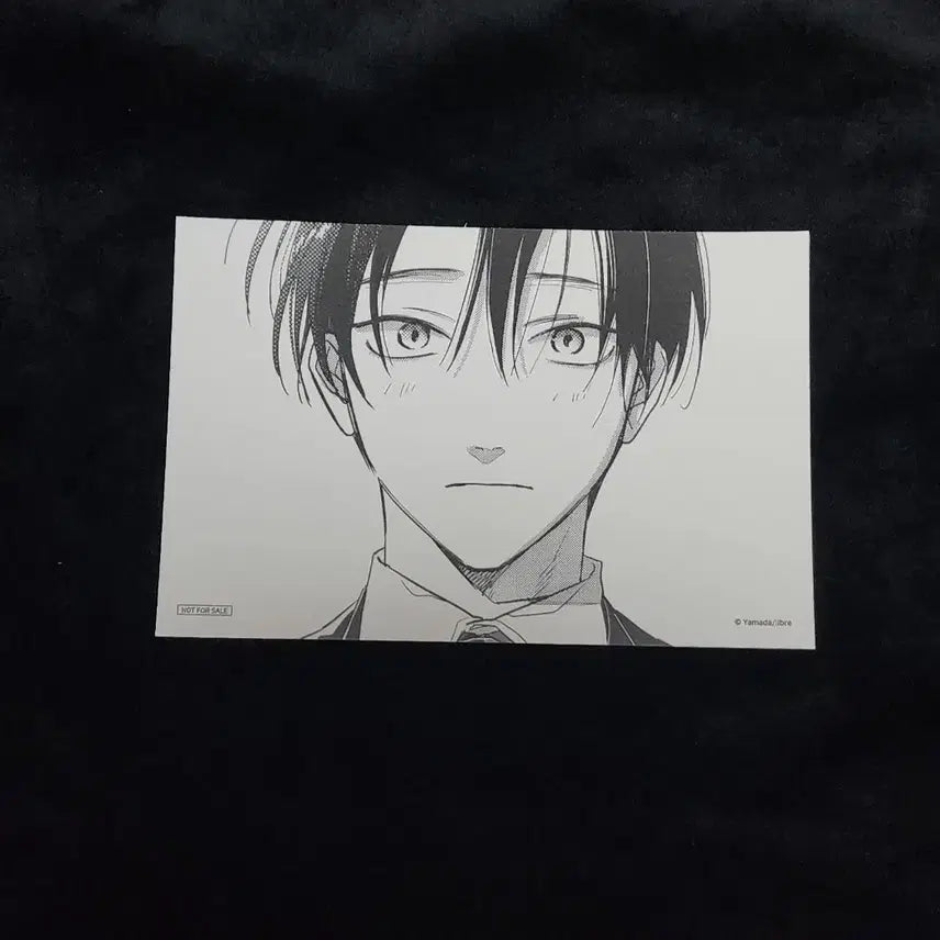[BUNJANG] Tashiro Goods Postcard Set / 타시로너란녀석은. 타시로 굿즈 판매.특전.투니크.엽서.