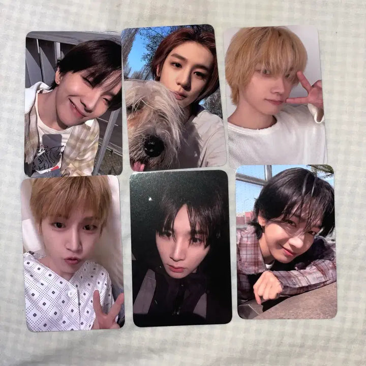 [BUNJANG] BOYNEXTDOOR Home Showcase Photocard Set / 보넥도 Home 쇼케이스 포카 양도