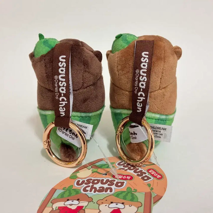 [BUNJANG] Woosoo Woosoo Watermelon Keychain Set / 우소우소 수박 키링 (2개 다 드려요)