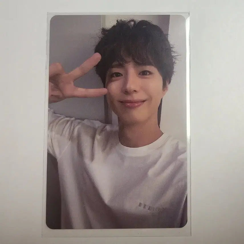 [BUNJANG] Park Bo Gum Fan Meeting Kuala Lumpur Photocard / 박보검 팬미팅 쿠알라룸푸르  포토카드