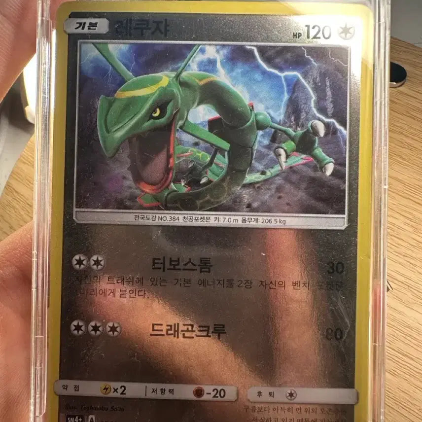 [BUNJANG] Rayquaza Card / 레쿠쟈 카드