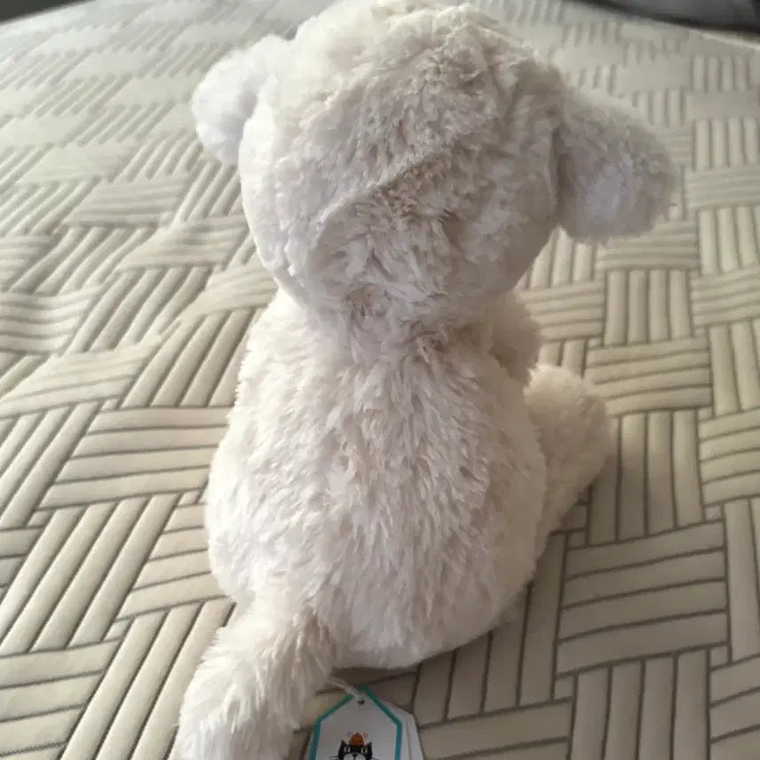 [BUNJANG] Jellycat Smudge Lamb M Size / jellycat 스머지 램