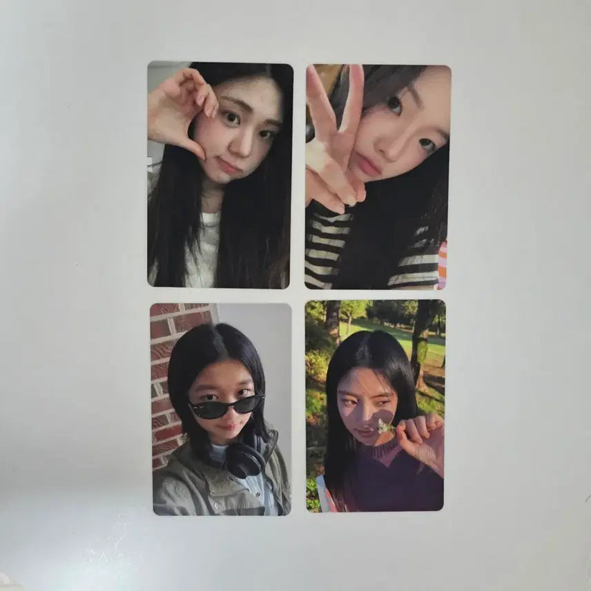 [BUNJANG] Mountianous Animals Movie Photocard Set / 영화 &