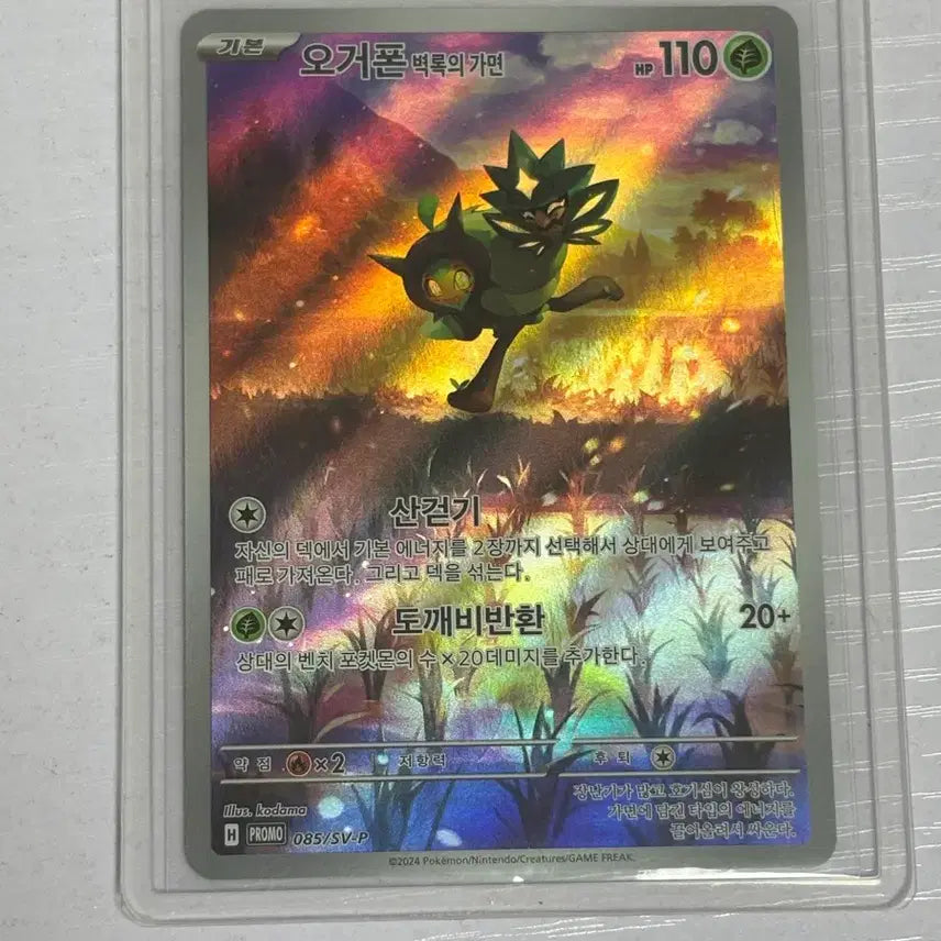[BUNJANG] Pokemon Card Ogovon PROMO Special Edition / 포켓몬카드 오거폰 PROMO 특일