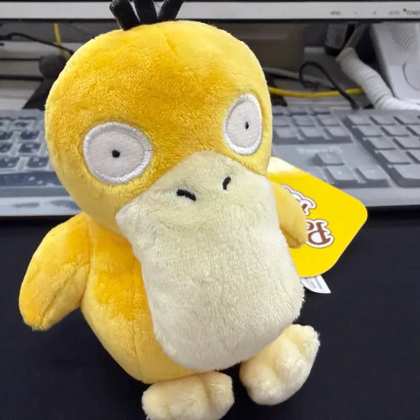 [BUNJANG] Pokemon Psyduck Fit Plush Doll / 포켓몬스터 고라파덕 fit 봉제인형 고라파덕 인형