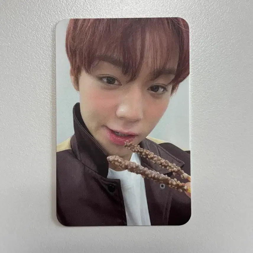 [BUNJANG] Park Jihoon Joeun Music Fansign POB Photocard / 박지훈 조은뮤직 팬싸 특전 포카 포토카드