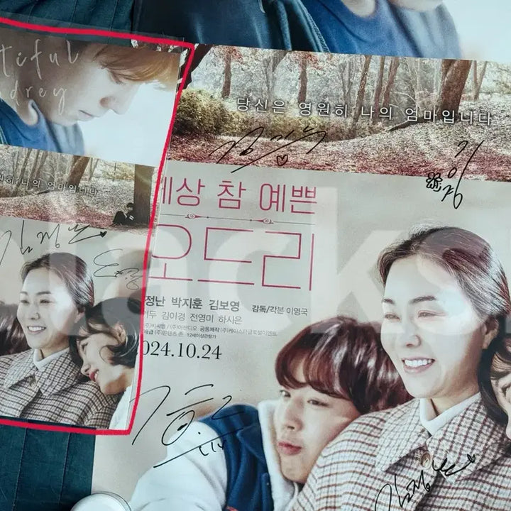 [BUNJANG] SeSang Cham Yeppeun Audrey Movie Official Signed Poster / 세상 참 예쁜 오드리 친필 싸인 포스터 박지훈 김정난 김기두 김이경 김보영