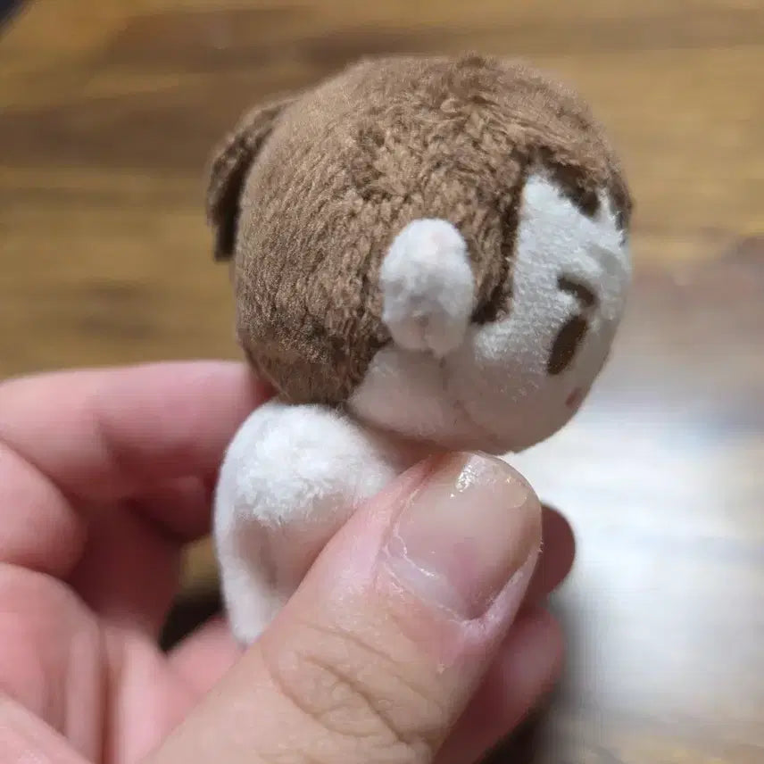 [BUNJANG] Hwasan Returns Jongnam Jongseohan 5cm Plush Doll / 화산귀환 종남 종서한 5cm 인형