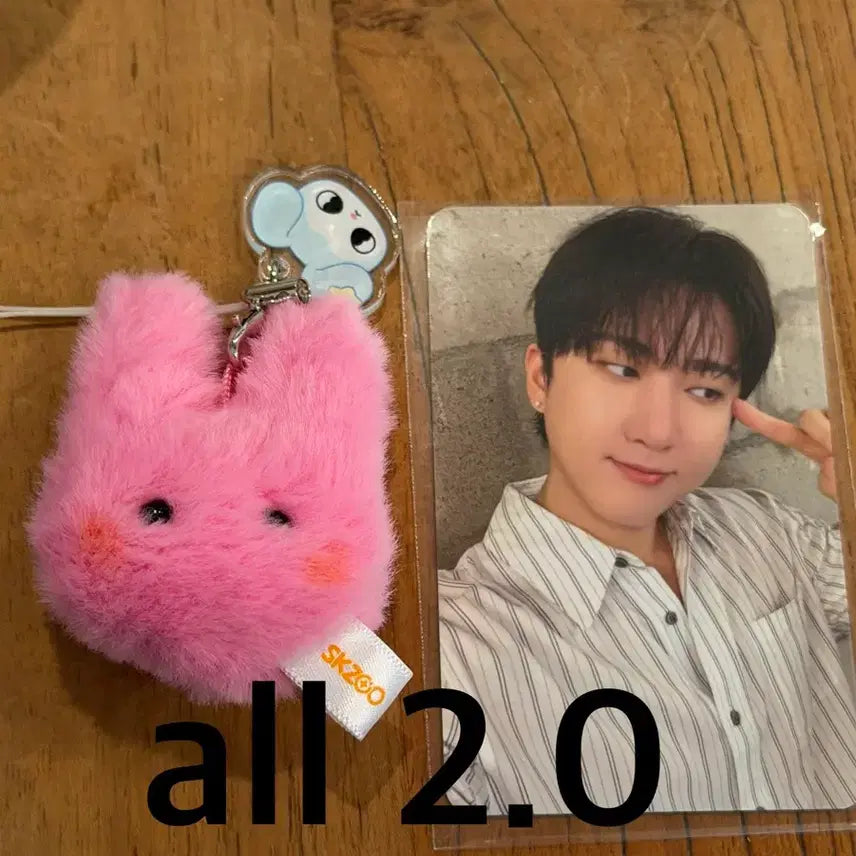 [BUNJANG] Stray Kids Changbin Soundwave Lucky Draw Pom Pom Keychain Dwaekki / 스키즈 스트레이키즈 창빈 런잇콘서트 사운드웨이브 럭키드로우 폼폼키링 돼끼