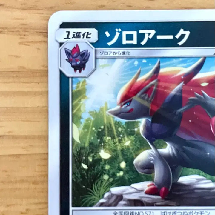 [BUNJANG] Pokemon Zoroark Gym Promo 162/SM-P Japanese / 일판 포켓몬 카드 조로아크 짐프로모 162/SM-P