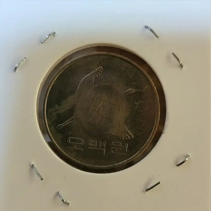 [BUNJANG] 2005 500 Won Coin - Center Circle Detail / 2005년 500원  중심부분 동그라미