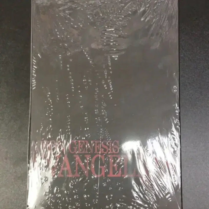 [BUNJANG] Neon Genesis Evangelion DVD Box Set / 새상품) 신세기 에반게리온 DVD 박스 세트