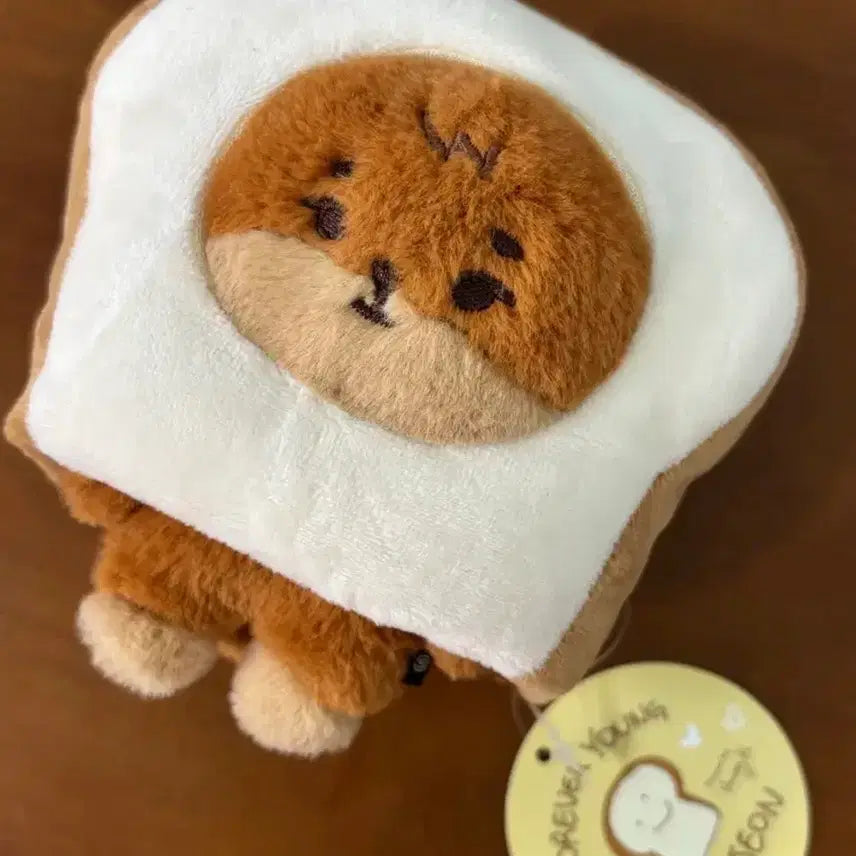 [BUNJANG] DAY6 Young K Petit Merz Tanning Case + Daejeon Bread Costume Set / 데이식스 영케이 쁘띠멀즈 태닝 케 + 대전 빵 코스튬