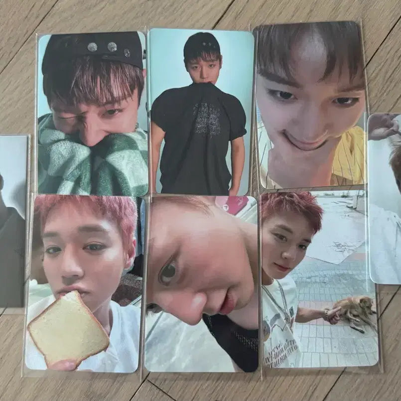 [BUNJANG] Park Jihoon Photocard Bundle Set / 박지훈 포카 판매