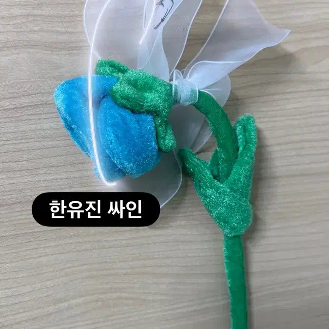 [BUNJANG] ZB1 ZEROBASEONE Han Yu Jin HERE&amp;NOW IN SEOUL Concert Last Day Flower (Signed) / ZB1 2025 HERE&amp;NOW IN SEOUL 막콘에서 한유진이 던진 꽃입니다(+한유진 싸인있어요)