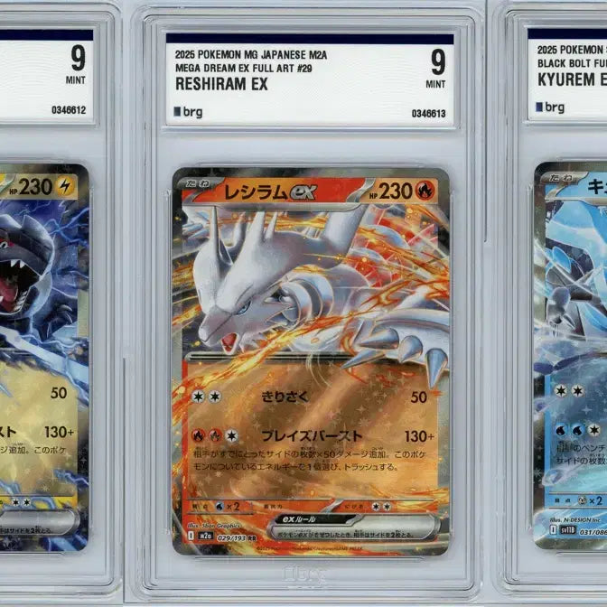 [BUNJANG] Pokemon Card Zekrom, Reshiram, Kyurem BRG9 Triple Consecutive Numbers Bundle Set / 일판 제크로무, 레시라무, 큐레무 brg9 3연번 일괄 포켓몬카드