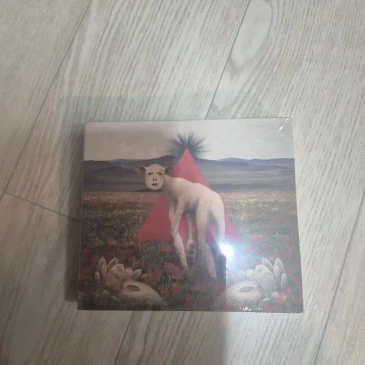 [BUNJANG] Thornapple Bundle Set Concert Merchandise / 쏜애플 굿즈 일괄 판매합니다.