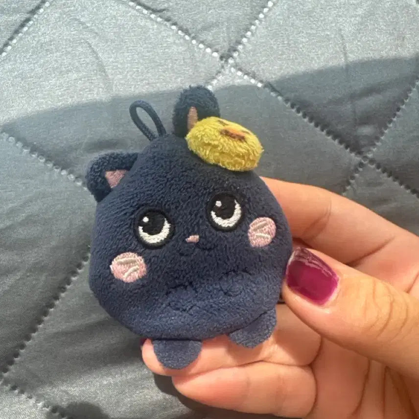 [BUNJANG] Wonbin RIIZHEMINI Keyring / 원빈 리라즈 토냥덕 미니 키링 판매