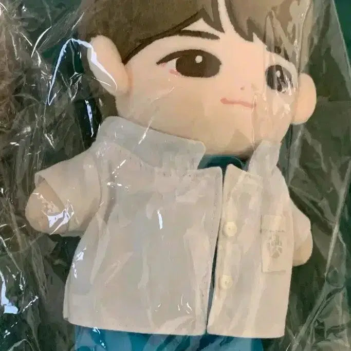 [BUNJANG] Yoo Yeon-seok "Somdeura" Doll / 슬기로운 의사생활 유연석 인형 솜드레아