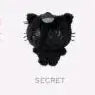 [BUNJANG] Color Wish Doll Secret Black Kuri / 컬러위시돌 시크릿 블랙 쿠리